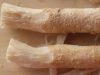Best Miswak Exporters in Karachi: Nurturing Tradition, Quality, and Sustainability