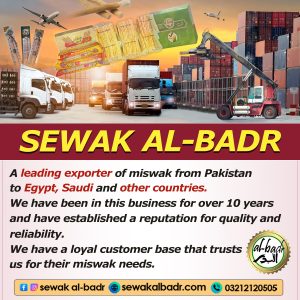 sewak al-badr